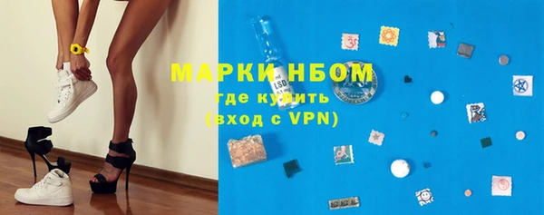 альфа пвп Новодвинск