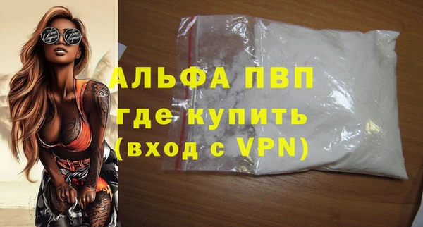 альфа пвп Новодвинск