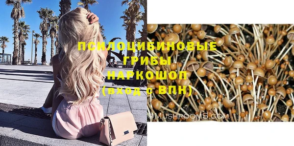 экстази Новозыбков