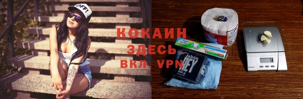 альфа пвп Новодвинск