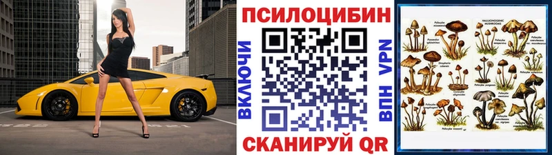 Галлюциногенные грибы GOLDEN TEACHER Тында